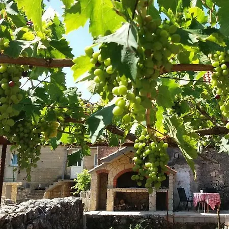 Flower Double Split - دوغوبولج