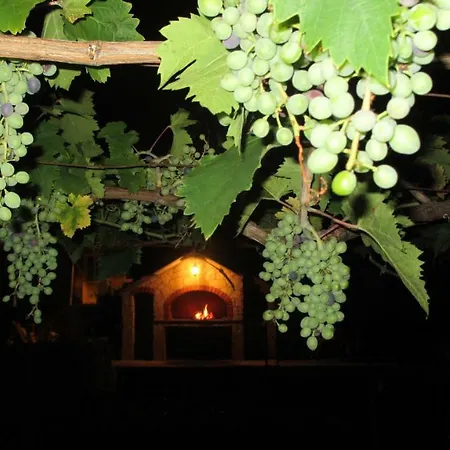 Flower Double Split - Gasthof