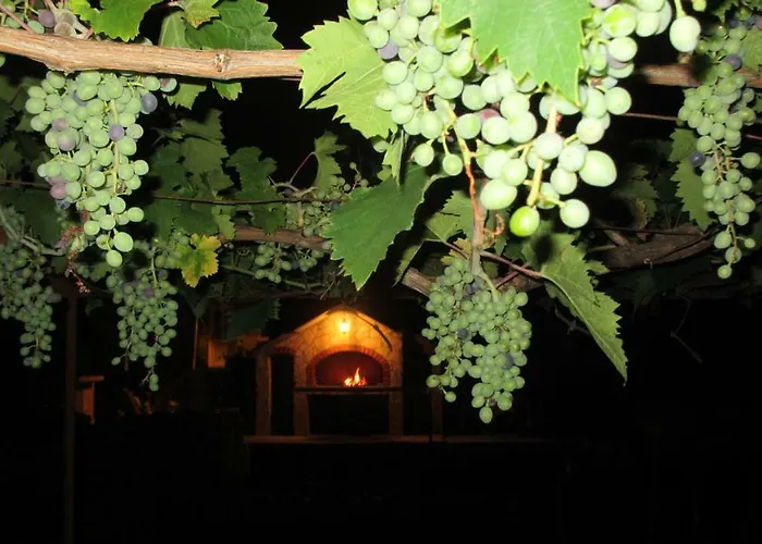 Flower Double Split - Πανσιόν